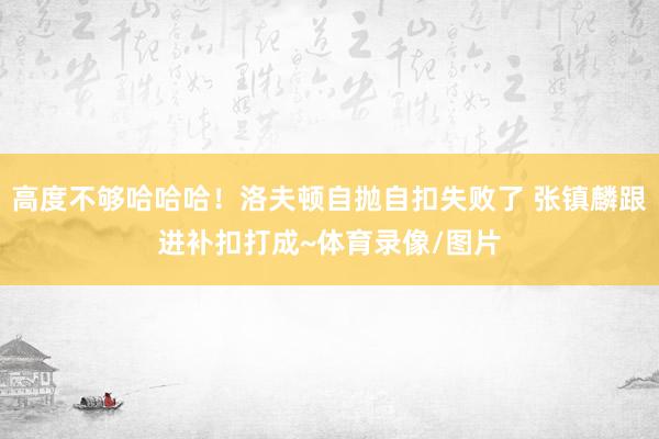 高度不够哈哈哈！洛夫顿自抛自扣失败了 张镇麟跟进补扣打成~体育录像/图片