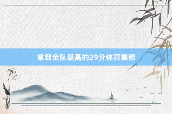 拿到全队最高的29分体育集锦