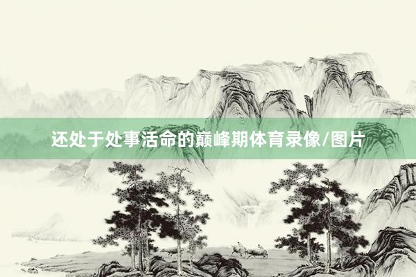还处于处事活命的巅峰期体育录像/图片