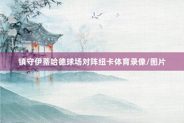 镇守伊蒂哈德球场对阵纽卡体育录像/图片