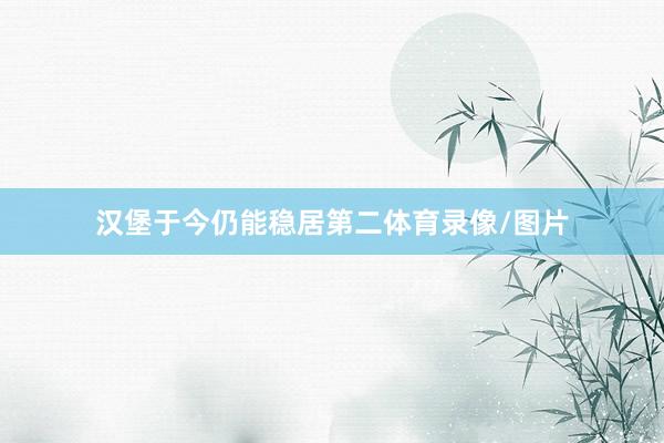 汉堡于今仍能稳居第二体育录像/图片