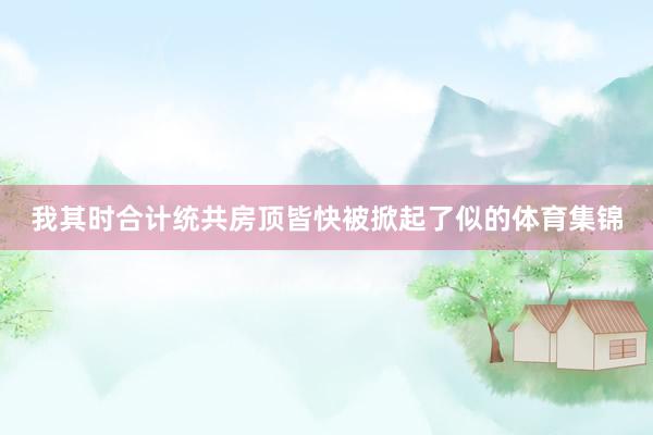 我其时合计统共房顶皆快被掀起了似的体育集锦
