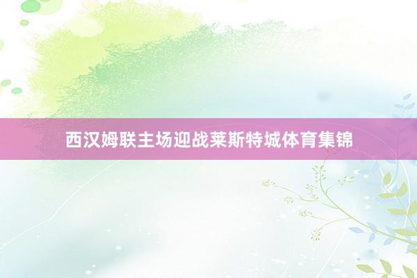 西汉姆联主场迎战莱斯特城体育集锦