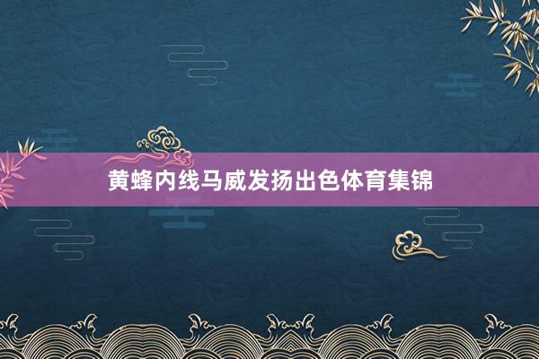 黄蜂内线马威发扬出色体育集锦