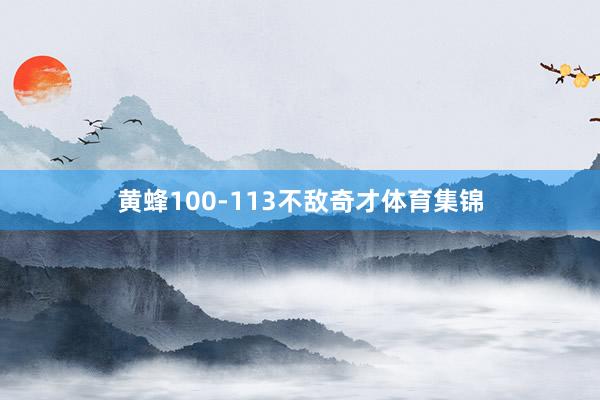 黄蜂100-113不敌奇才体育集锦
