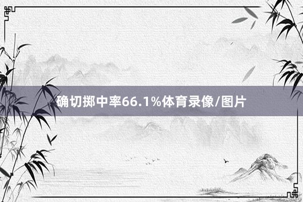 确切掷中率66.1%体育录像/图片