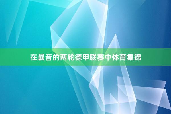 在曩昔的两轮德甲联赛中体育集锦