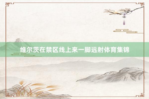 维尔茨在禁区线上来一脚远射体育集锦