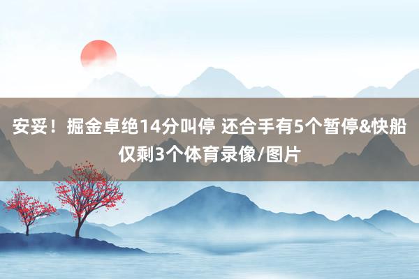 安妥！掘金卓绝14分叫停 还合手有5个暂停&快船仅剩3个体育录像/图片