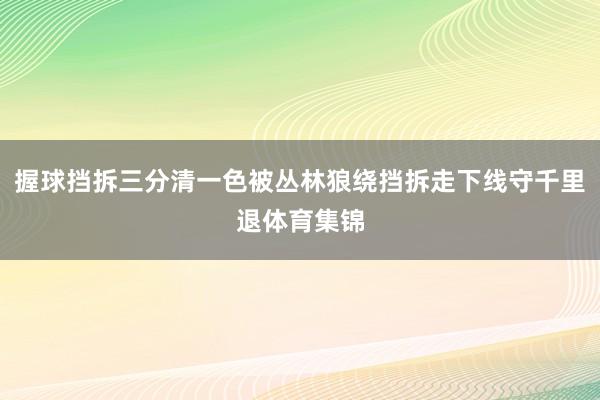握球挡拆三分清一色被丛林狼绕挡拆走下线守千里退体育集锦