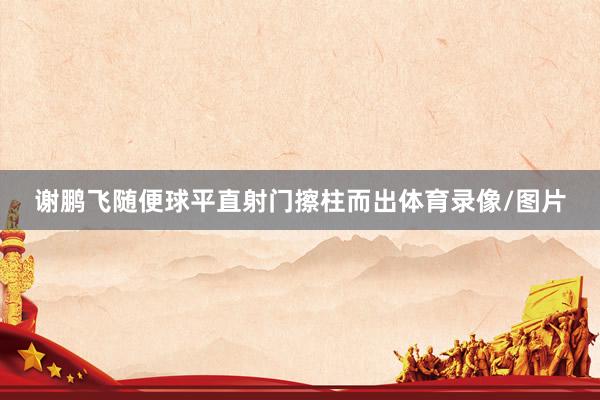 谢鹏飞随便球平直射门擦柱而出体育录像/图片