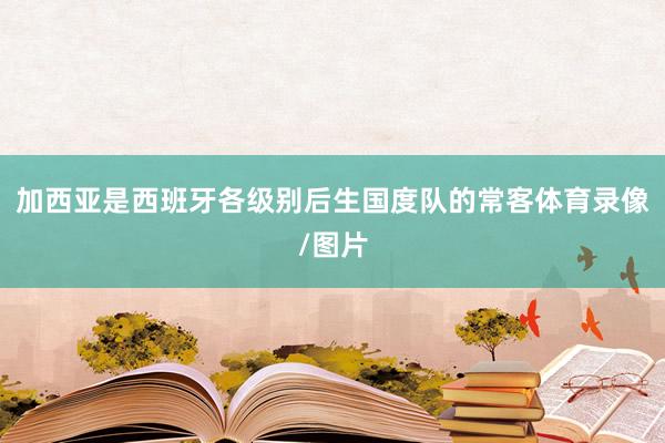 加西亚是西班牙各级别后生国度队的常客体育录像/图片