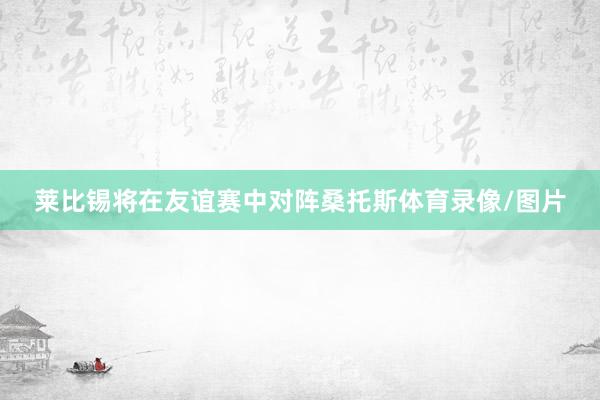 莱比锡将在友谊赛中对阵桑托斯体育录像/图片