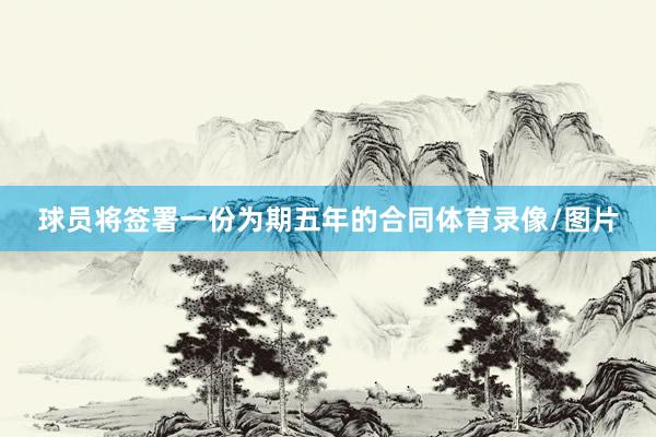 球员将签署一份为期五年的合同体育录像/图片