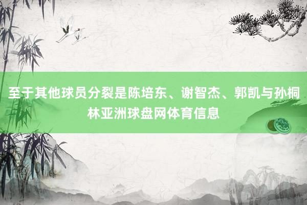 至于其他球员分裂是陈培东、谢智杰、郭凯与孙桐林亚洲球盘网体育信息