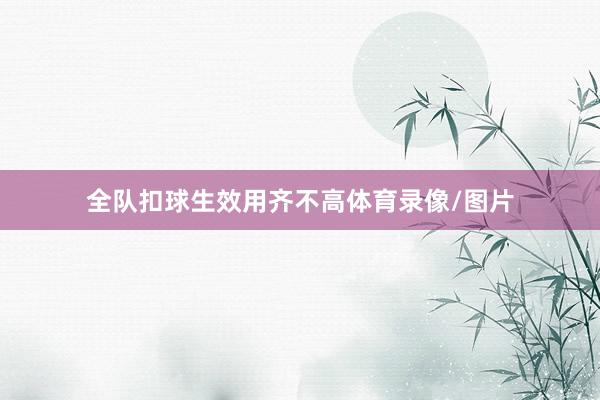 全队扣球生效用齐不高体育录像/图片