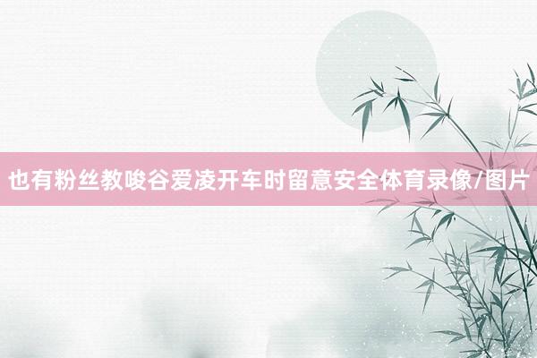 也有粉丝教唆谷爱凌开车时留意安全体育录像/图片