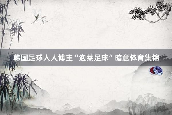 韩国足球人人博主“泡菜足球”暗意体育集锦