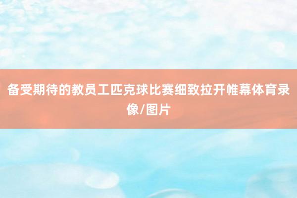 备受期待的教员工匹克球比赛细致拉开帷幕体育录像/图片