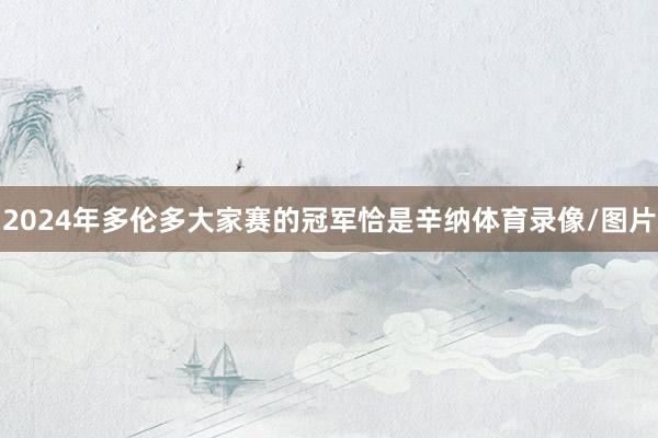 2024年多伦多大家赛的冠军恰是辛纳体育录像/图片