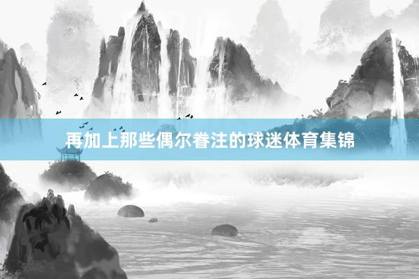 再加上那些偶尔眷注的球迷体育集锦