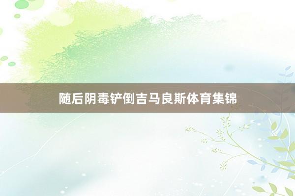 随后阴毒铲倒吉马良斯体育集锦