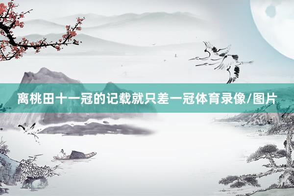 离桃田十一冠的记载就只差一冠体育录像/图片