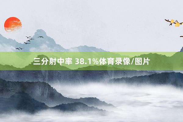 三分射中率 38.1%体育录像/图片