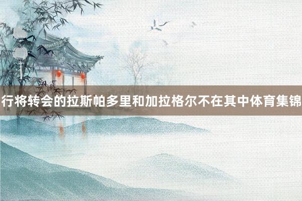 行将转会的拉斯帕多里和加拉格尔不在其中体育集锦