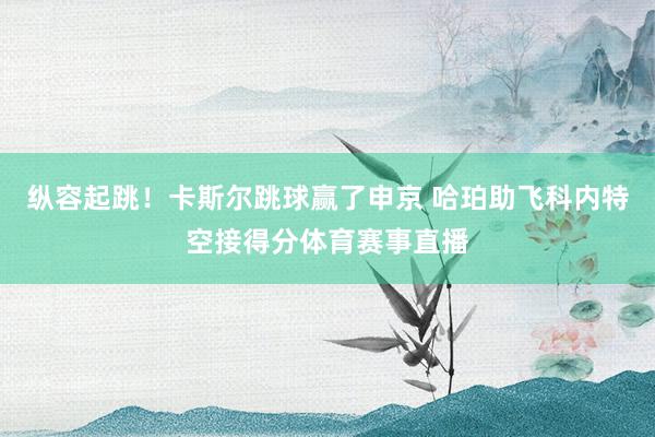 纵容起跳！卡斯尔跳球赢了申京 哈珀助飞科内特空接得分体育赛事直播