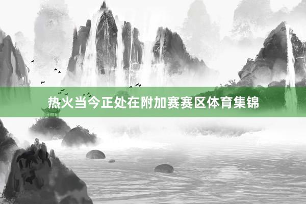 热火当今正处在附加赛赛区体育集锦