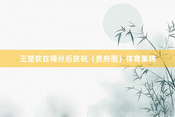 王楚钦在得分后庆祝（贵府图）体育集锦