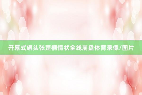 开幕式旗头张楚桐情状全线崩盘体育录像/图片