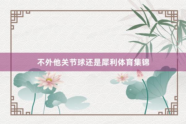 不外他关节球还是犀利体育集锦