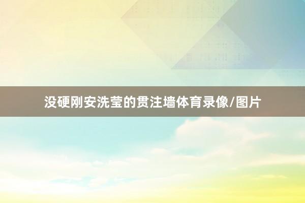 没硬刚安洗莹的贯注墙体育录像/图片