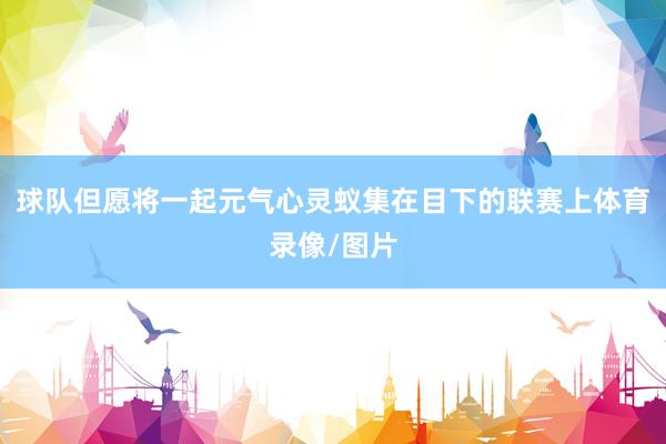 球队但愿将一起元气心灵蚁集在目下的联赛上体育录像/图片
