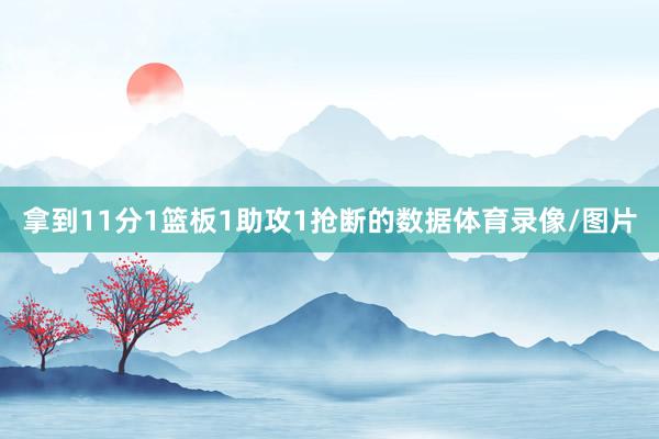 拿到11分1篮板1助攻1抢断的数据体育录像/图片