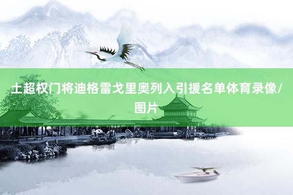 土超权门将迪格雷戈里奥列入引援名单体育录像/图片
