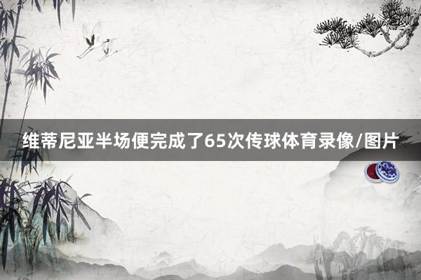 维蒂尼亚半场便完成了65次传球体育录像/图片