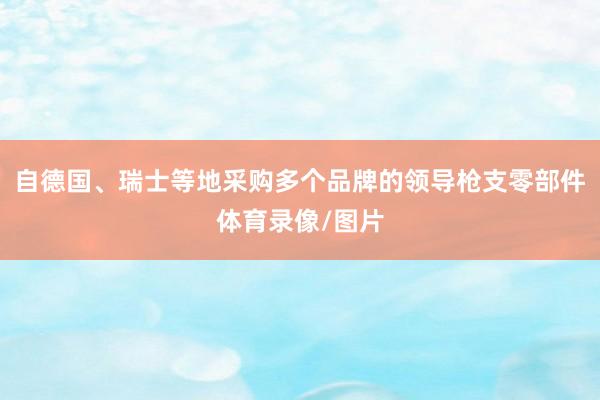自德国、瑞士等地采购多个品牌的领导枪支零部件体育录像/图片