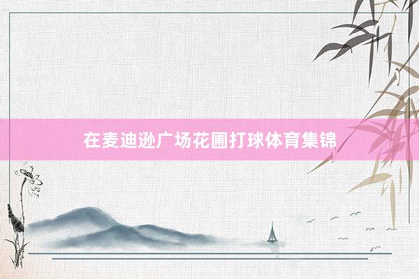 在麦迪逊广场花圃打球体育集锦
