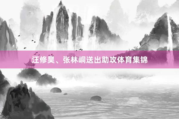 汪修昊、张林峒送出助攻体育集锦