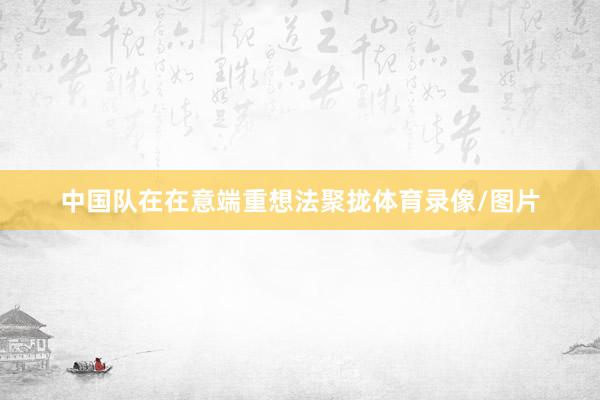 中国队在在意端重想法聚拢体育录像/图片